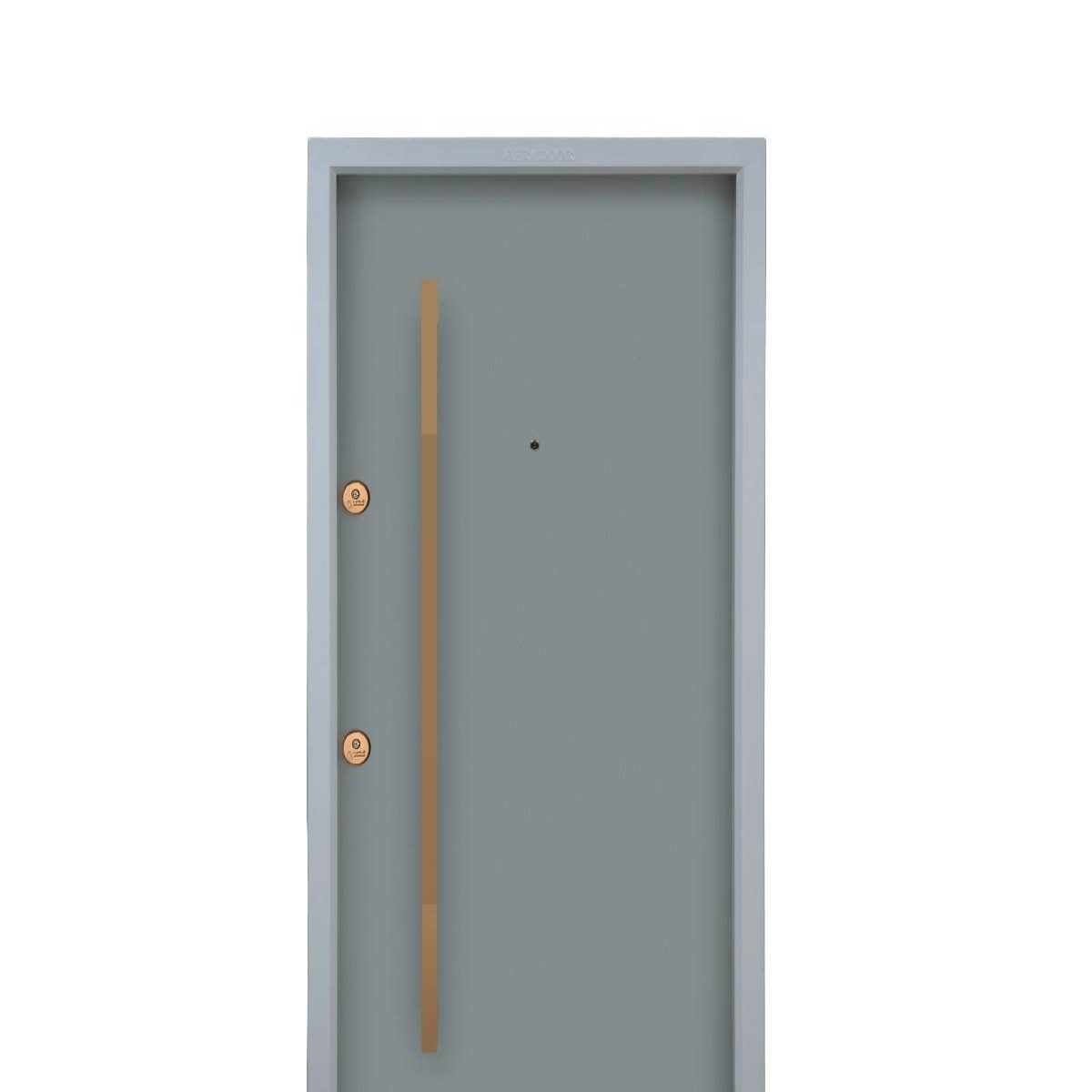 درب ضد سرقت طوسی رنگ پوششی CNC کد 30426